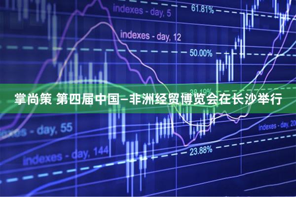掌尚策 第四届中国—非洲经贸博览会在长沙举行