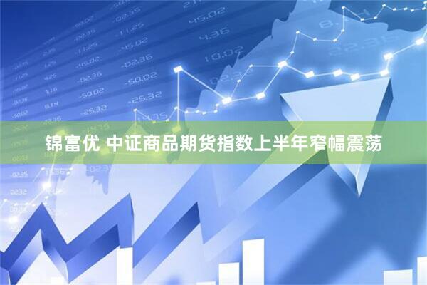 锦富优 中证商品期货指数上半年窄幅震荡