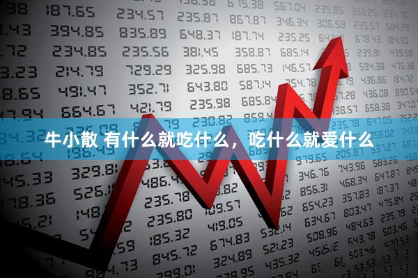 牛小散 有什么就吃什么，吃什么就爱什么