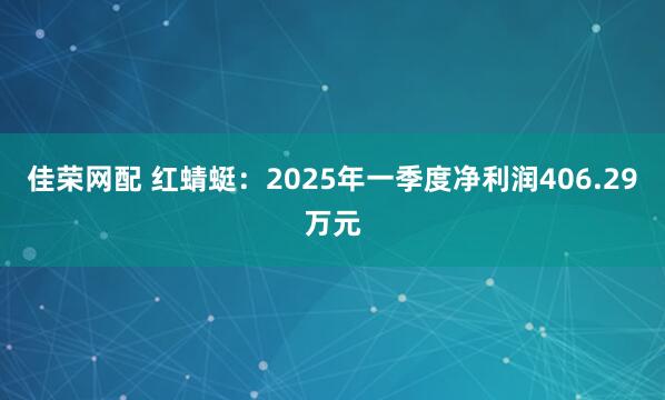佳荣网配 红蜻蜓：2025年一季度净利润406.29万元